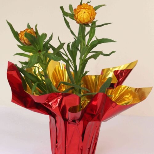 Colorful Foil Flower Pot Covers