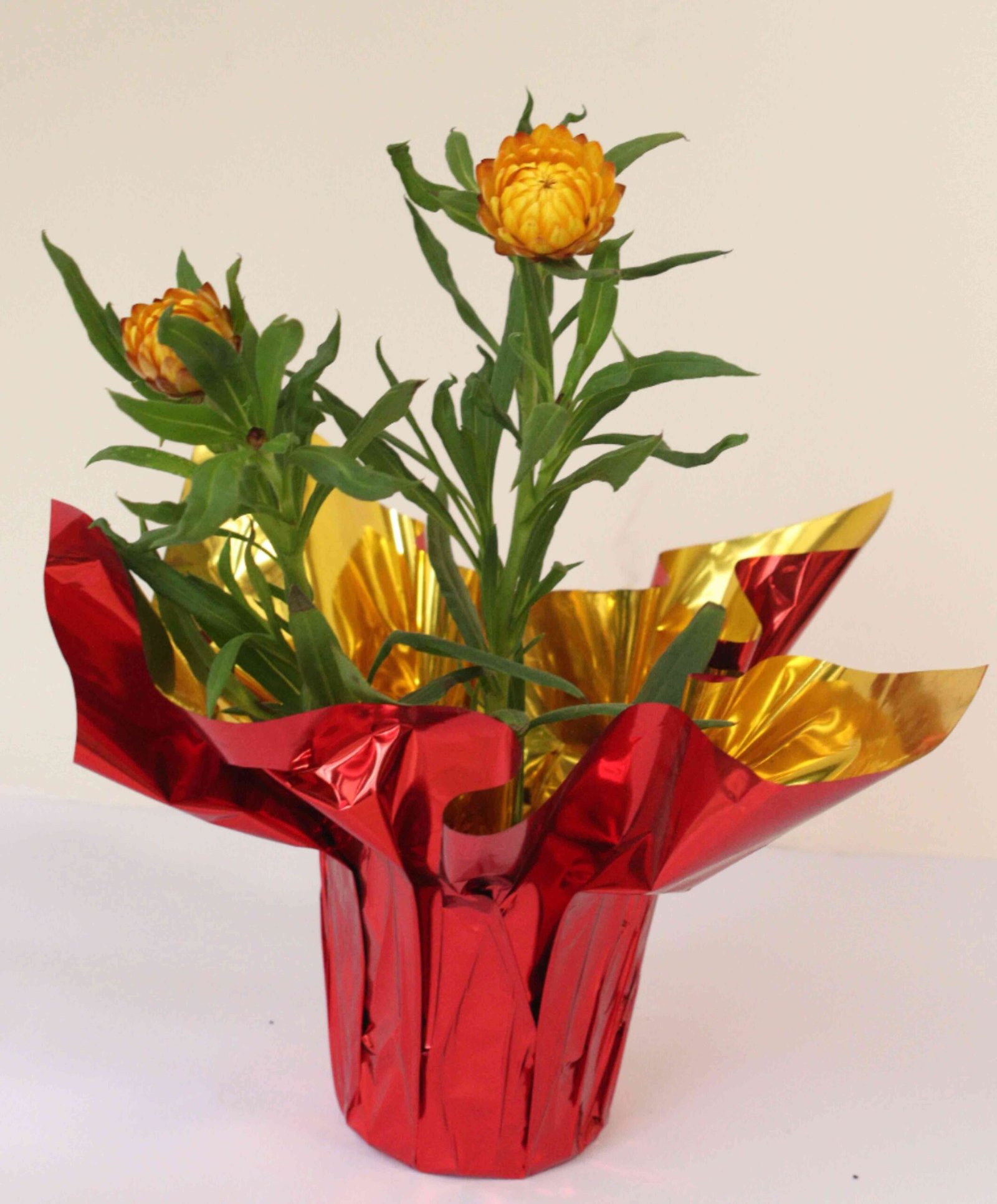 Colorful Foil Flower Pot Covers